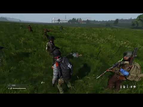 DayZ Whatever the brings