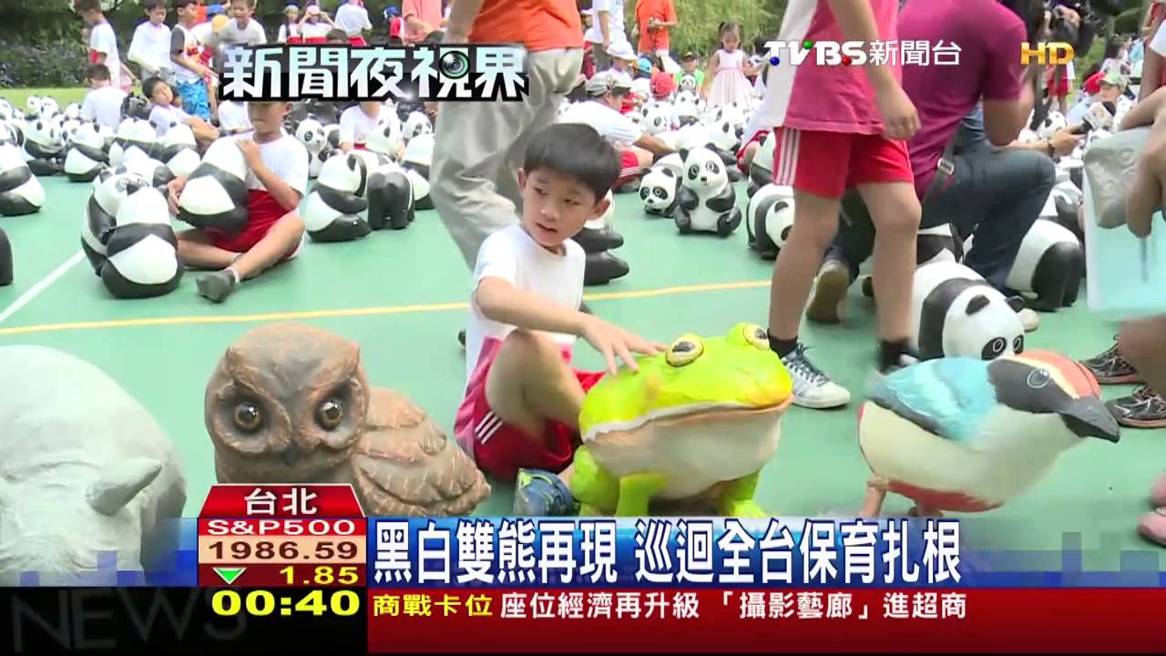 黑白雙熊再現　巡迴全台保育扎根