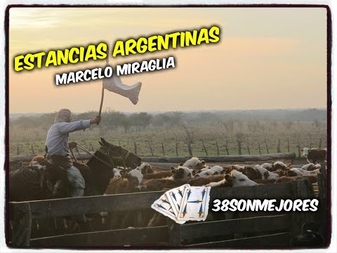 Estancias Argentinas | MARCELO MIRAGLIA