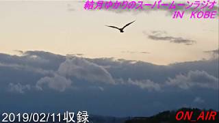 結月ゆかりのスーパームーンラジオ2019/02/11収録