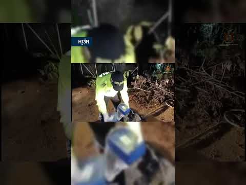 Incautan 40 kilos de cocaína en El Carmen de Viboral, Antioquia