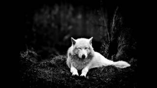 Catamenia -  Astaroth and Astarte; Speed Increased 3x