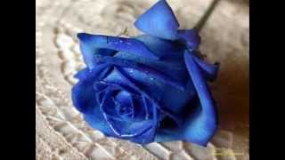 Sixpence none the richer    ive been waiting