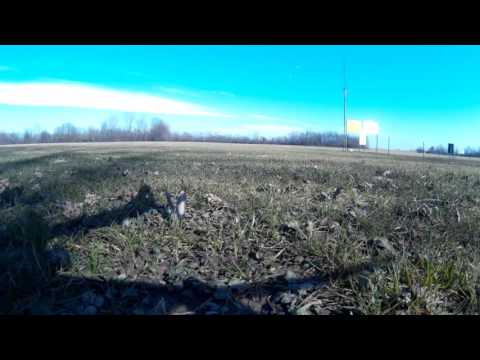 Violetto prova sj4000