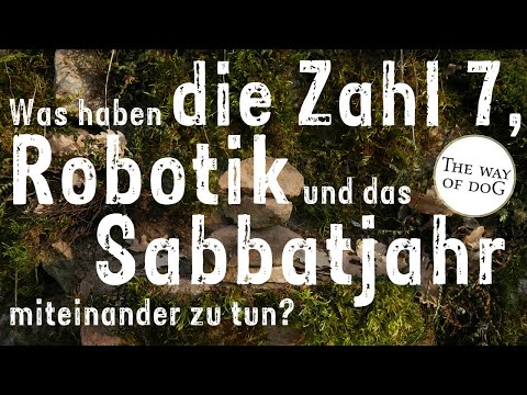 Ein Plädoyer für Dein Sabbatjahr