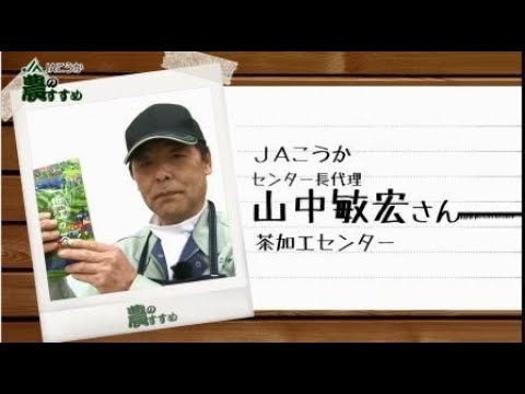 インドのお茶栽培