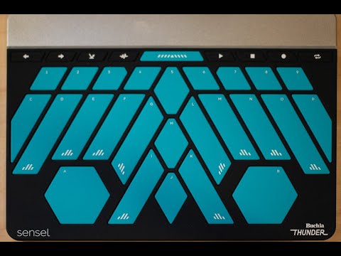 Max Karplus Strong Koto on the Sensel Morph