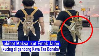 Download lagu So cute! Cat insists on tagging along for a snack run; Mom ends up carrying it like a bag plushie mp3