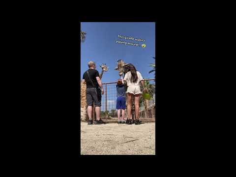 Lepiej nie dokarmiać zwierząt w zoo
