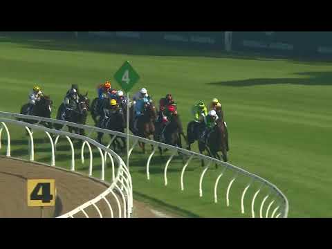 Coolmore Classic 2025 - LADY SHENANDOAH (3YO+ Qlty G1 FM) Group 1 Rosehill 15 March