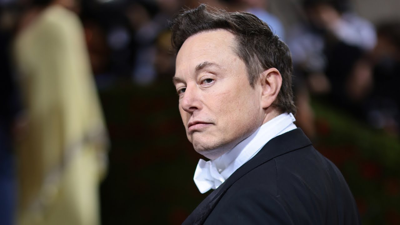 ‘Everything is possible’: Elon Musk could ‘resurrect’ MSNBC with takeover