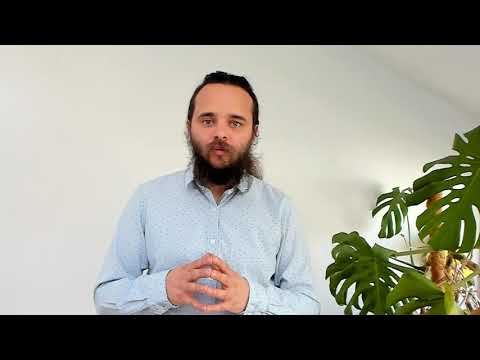 Einführungs-Video 3 - Schizophrenie F2 -  Intensiv Training HPP