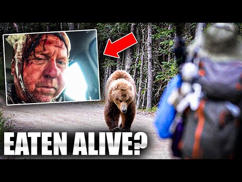 Grizzly Bear Mother's KILLER Reaction to SOLO HIKER'S Presence
