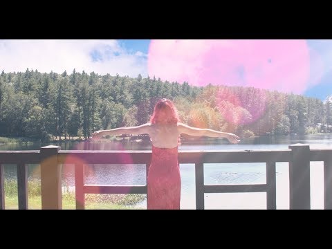 The Dream (a short film)