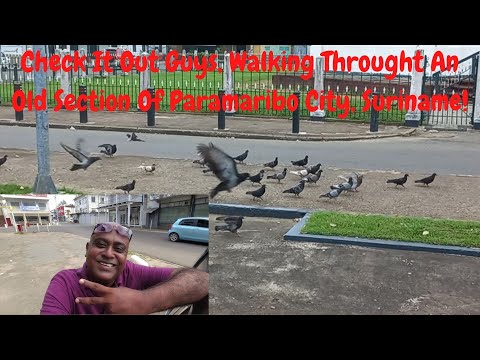 Check It Out Guys, Walking Through An Old Section Of Paramaribo City, Suriname!!