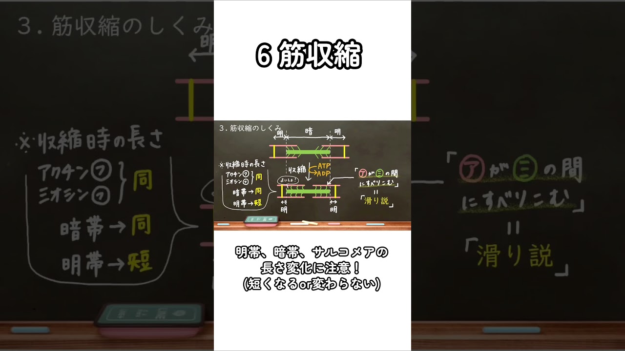 忘れてるところはおうち生物の動画で復習してな！共通テストまであと少し！最後まで応援してるで！ #共通テスト #高校生物