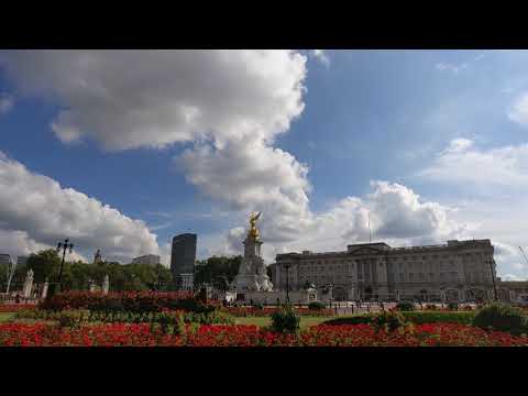 Red Arrows and La Patrouille de France fly over London
