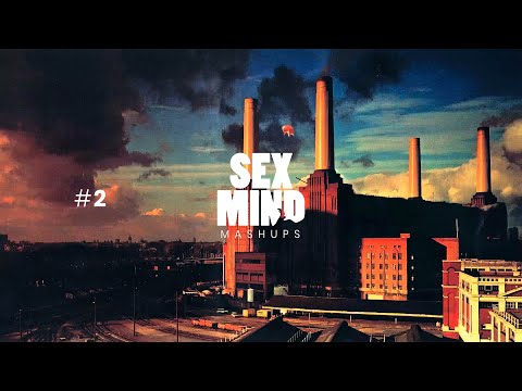 Dosem - Digital Futures - Pink Floyd - Dogs (Sex Mind Mashup) FREE