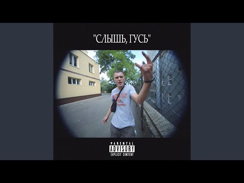 Слышь, гусь