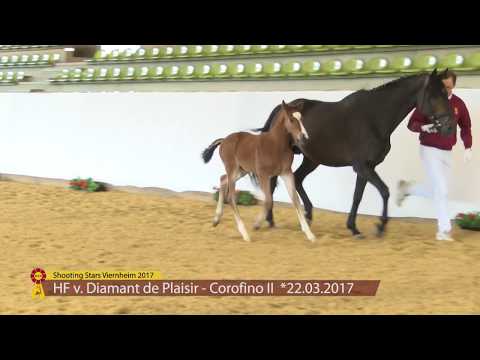 KN 9 Diamant de Lancio Hf v. Diamant de Plaisir - Corofino II