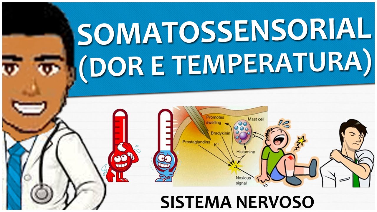 Sistema Nervoso 14 – Sistema Somatossensorial II: Dor e Temperatura - Vídeo-aula
