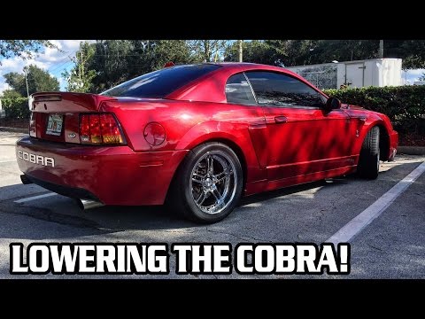 Lowering the Cobra FINALLY!