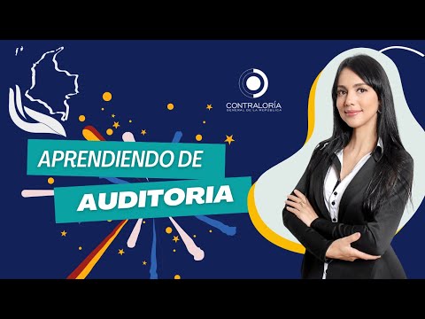 Aprendiendo de  auditoria de desempeño  Parte 1  //  26 de Febrero de 2024