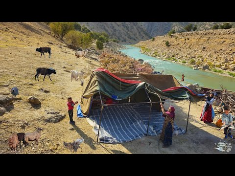 Nomadic Life | Nomadic Fishing Adventure 🎣 | Nomadic Tent Building in Zagros ⛺