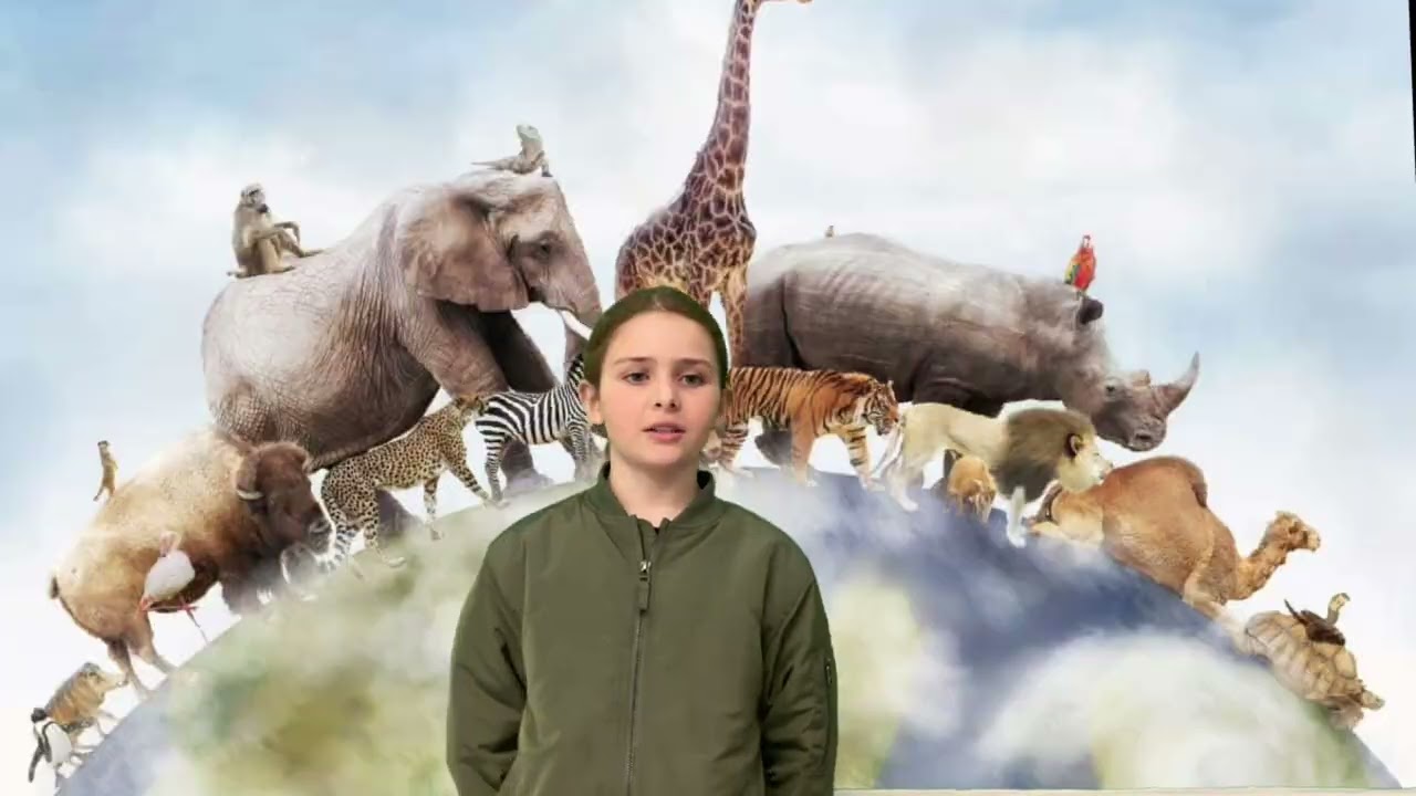 Global warming by Chole G. and Heidi F. (Innerkip Central Public School Grade 4)