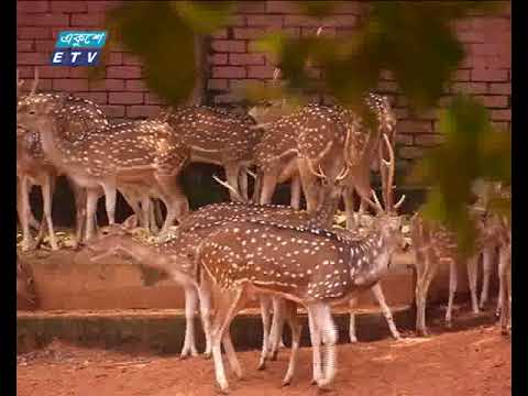 ঈদের দ্বিতীয় দিনেও বিনোদন কেন্দ্রে উপচেপড়া ভীড়