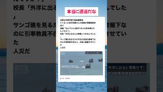 #高市総理 #小泉大臣 #小野田紀美 #片山さつき #国民民主党 #玉木代表