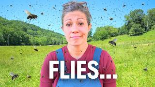 Win The War Against Flies! | A Farm Expert Reveals His Secrets