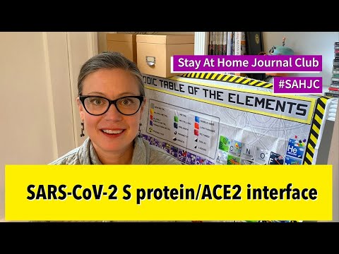 Stay-at-home Journal Club #1 - SARS-CoV-2/ACE2 interaction