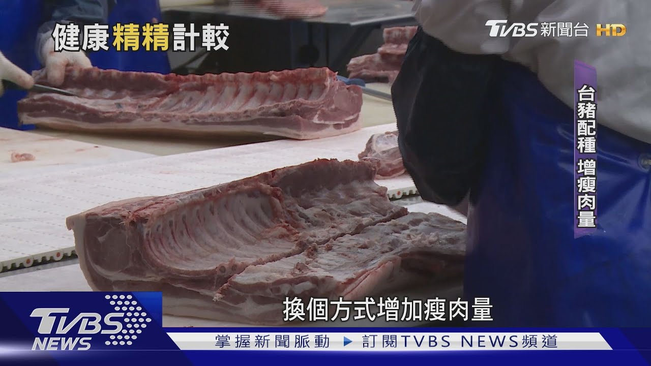 瘦肉精降成本!瘦肉量增3.4% 養殖日減10%