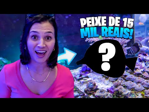 PAGAMOS 15 MIL REAIS EM UM PEIXE PARA O AQUÁRIO MARINHO ?