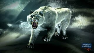 White Death Evidence | Alaska Monsters