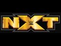 You Guys Pumped For A Possible NXT DVD IN 2016