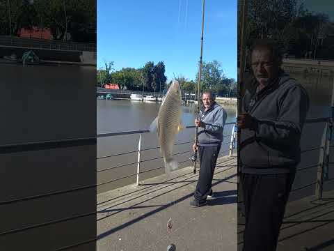 17 abril 2026 - El clima hostil del amanecer nos llevó a la Arenera San Isidro. Gracias por ver.