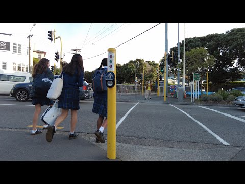 (4k) Walk. Kent Terrace. Basin Reserve bus stop. Island Bay Shops | Wellington (NZ). June 23, 2022.