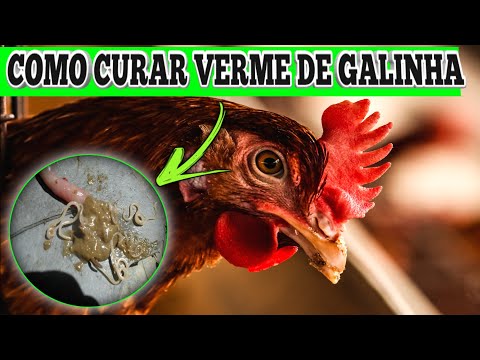 , title : 'Como curar*VERME de *GALINHA|| galinha com verme'