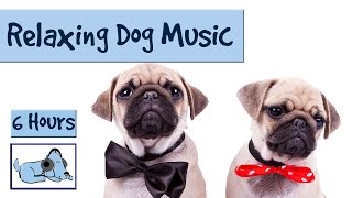 6 HOURS of Relaxing Dog Music. For Separation Anxiety and Restless Pups!