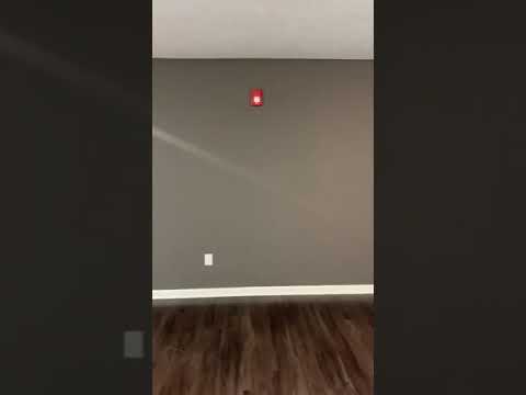 One Bed One Bath - Building 5