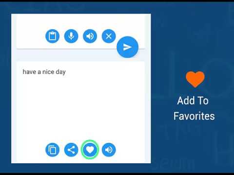 Hindi English Translator Video