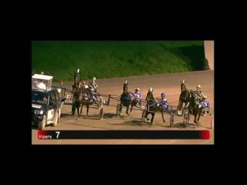 2011 Halve Finale Kampioenschap der Vierjarigen I - Admiral Newport (Michael Schmid)