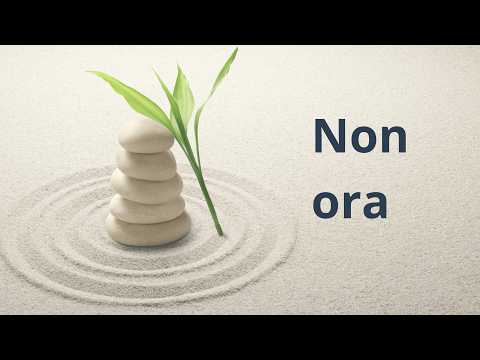 Tonia Caturano-35