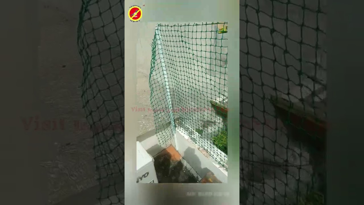 Watch video Pigeon Control Net Anti Bird Net Balcony Monkey Net installation in Gurgaon Anti Bird Netting Now Pigeon Control Net Anti Bird Net Balcony Monkey Net installation in Gurgaon Anti Bird Netting