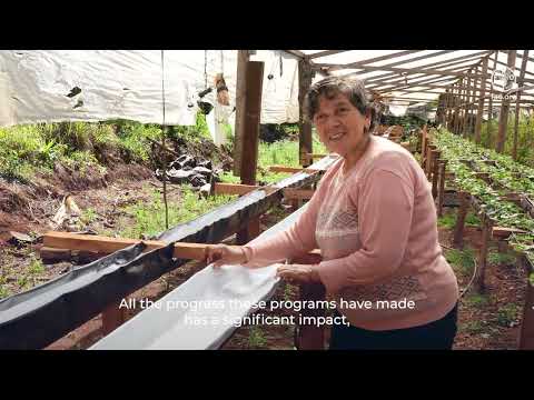 Women of the native forest: production, identity, and care in rural Argentina