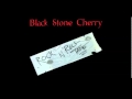 Black Stone Cherry - Redneck 