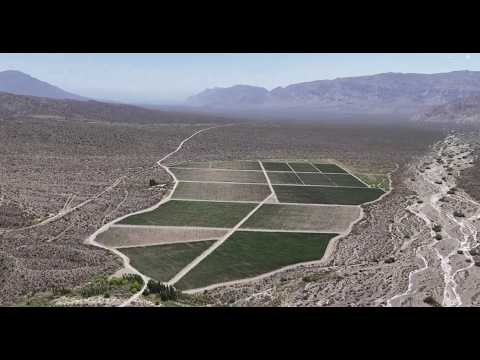 Xumek 🍷Vinos de Altura🍇 La Cienaga 🌄Valle de Zonda☀️🌵