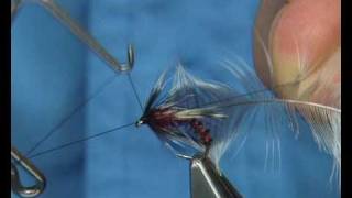 Tying a Irish DuckFly by Davie McPhail .